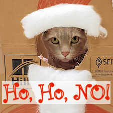 “Meow-y Christmas”…and other horrible puns to avoid this holiday season